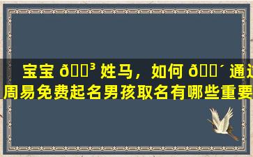 宝宝 🌳 姓马，如何 🌴 通过周易免费起名男孩取名有哪些重要一环